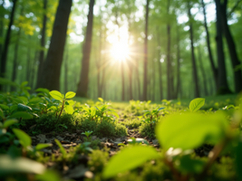 The Importance of Sustainable Living in Today's World