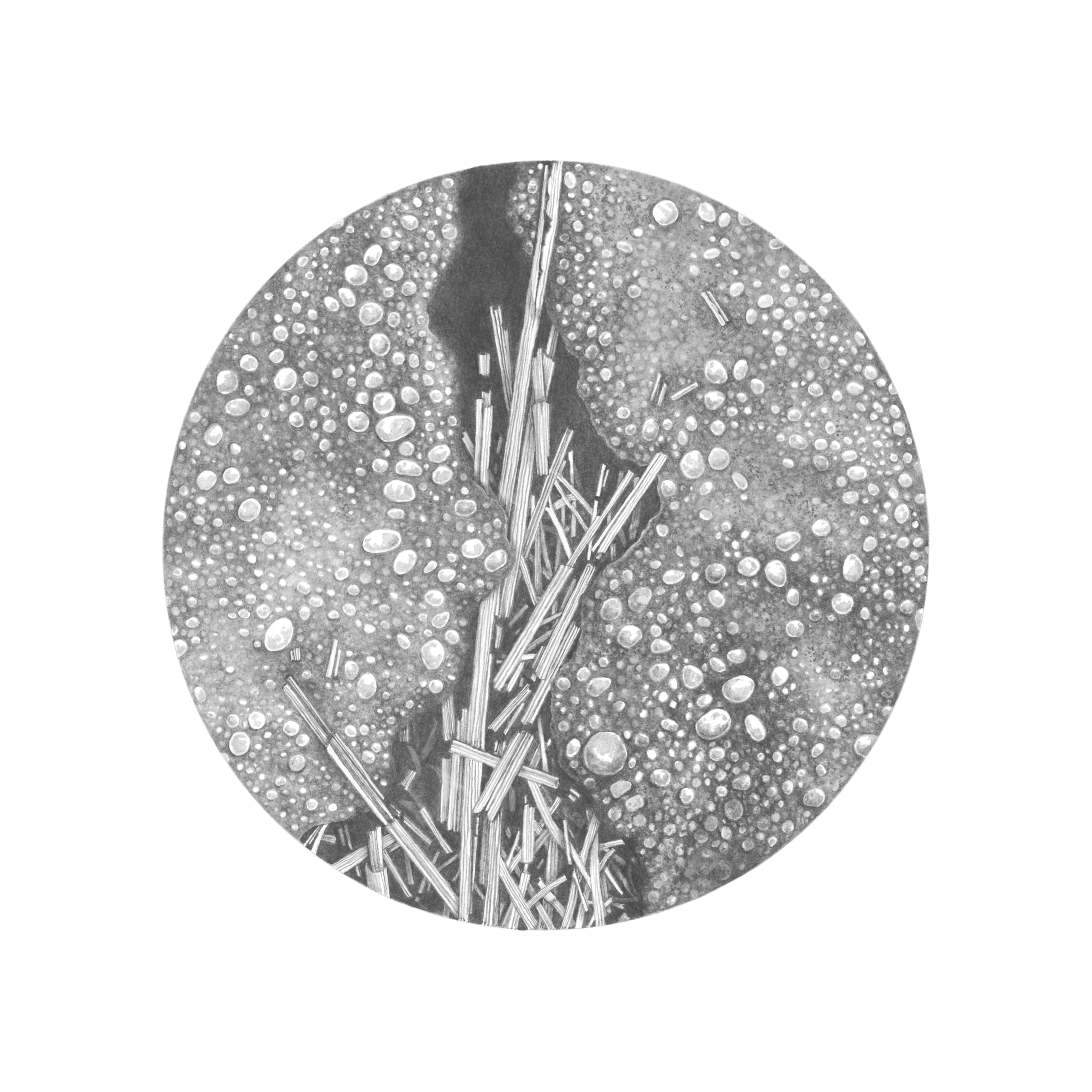 Little River Road at High Tide