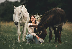 Travailler son cheval dans la bienveillance