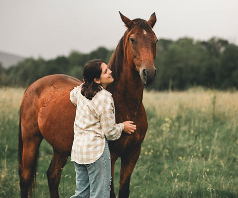 Relation de confiance avec son cheval