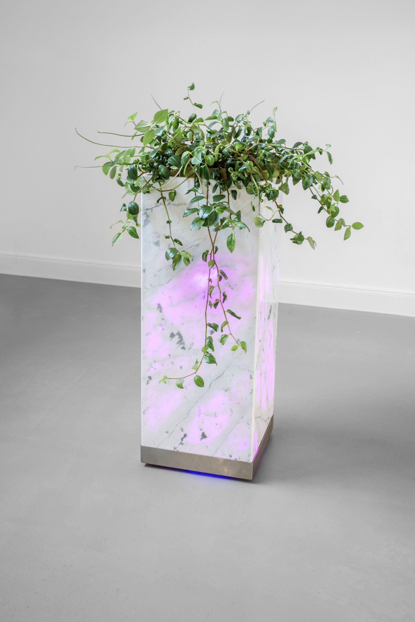 Design Pillar Standard