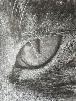 Cat eye