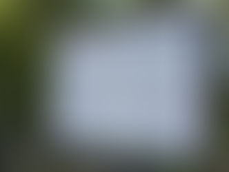 戦国の梟雄(きょうゆう)