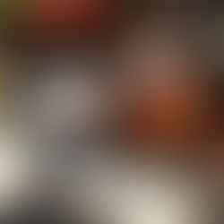 愛知のオススメ