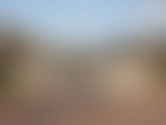 めっちゃ高い！めっちゃ怖い！