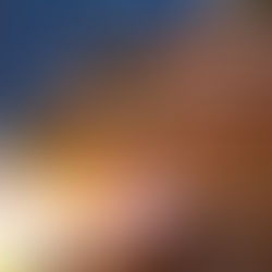 第52回さぬき高松まつりどんどん高松