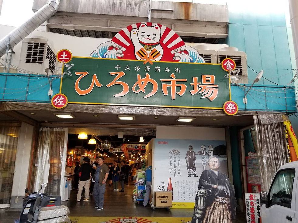 招き猫の看板がある「ひろめ市場」の入口。中に人が行き交い、提灯が灯る活気ある商店街の風景。