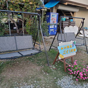 甘くておいしいぶどう狩りで大満足！