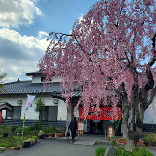 TVでやってたやつやん！