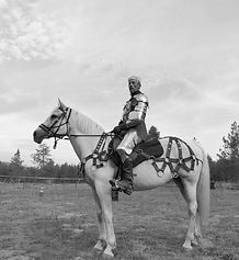Warhorse Luna