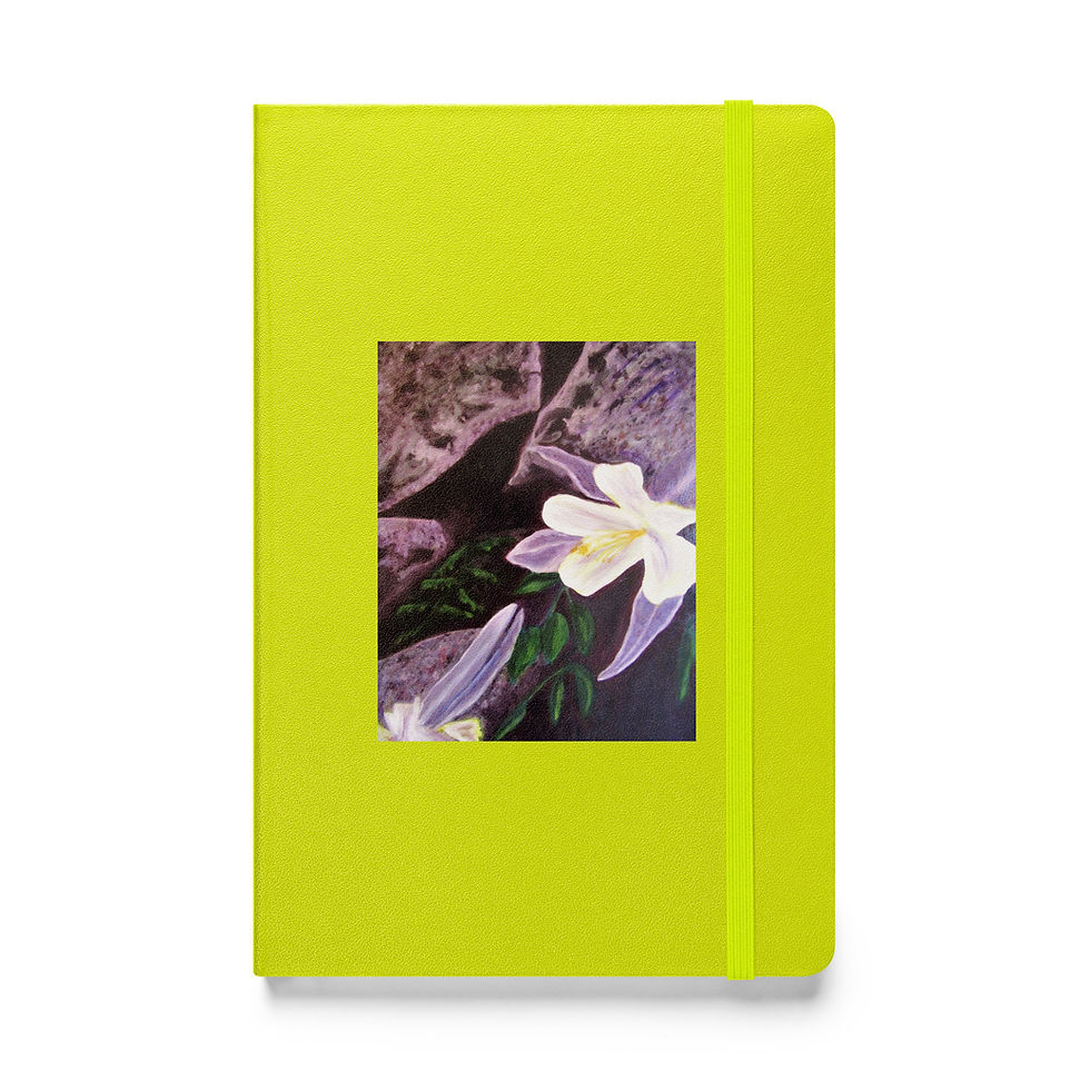 Miniatura: Hidden Crevices 1 Hardcover bound notebook