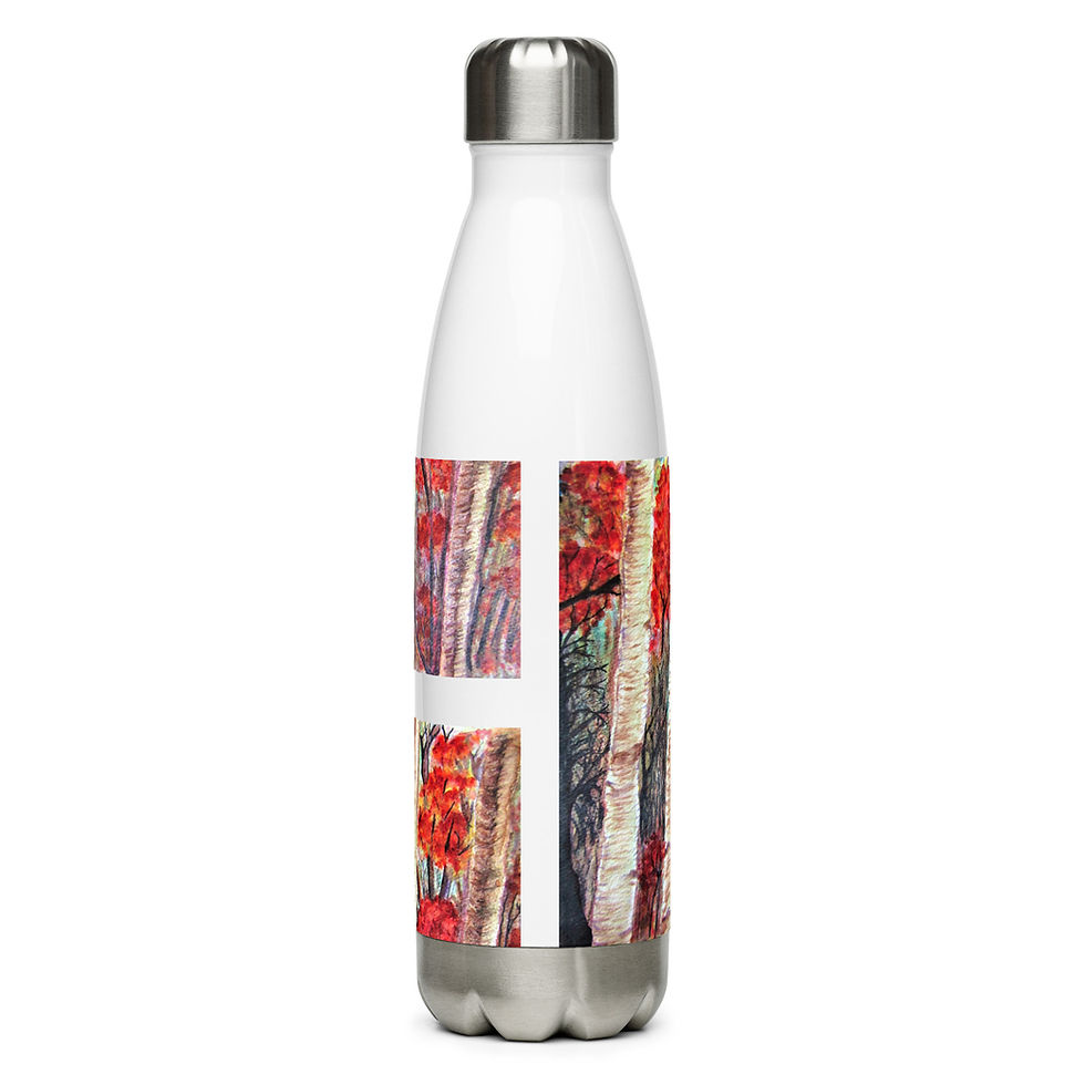 Thumbnail: Off the Beaten Path Stainless steel water bottle