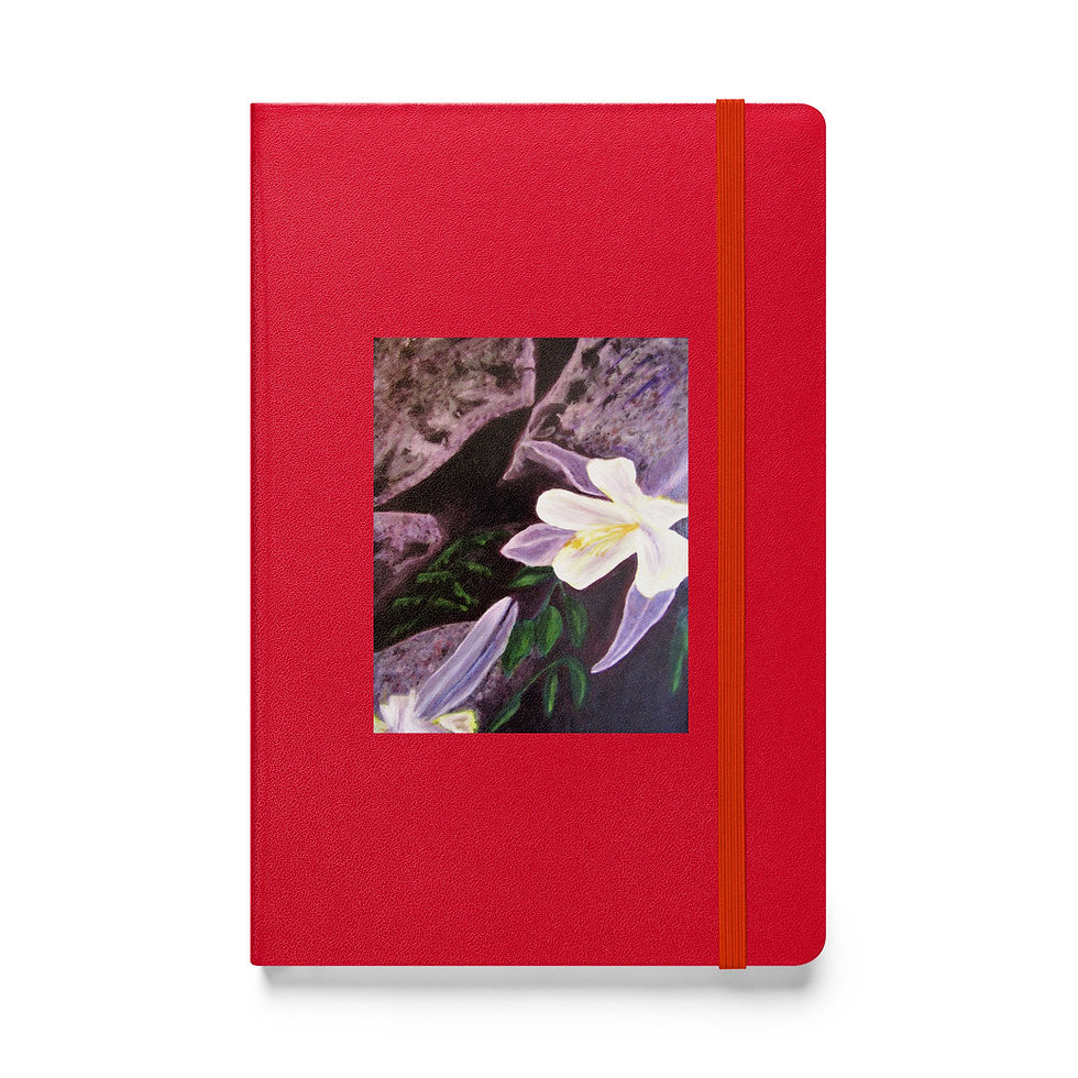 Thumbnail: Hidden Crevices 1 Hardcover bound notebook
