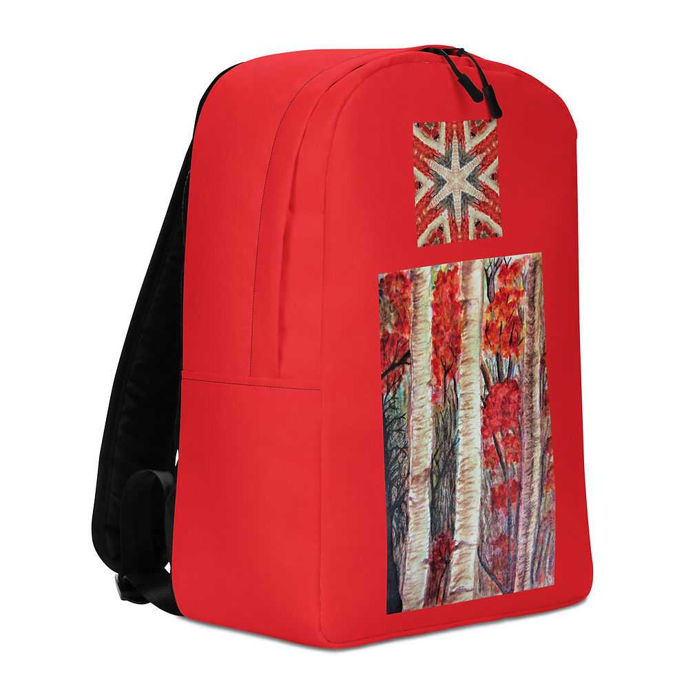 Thumbnail: Off the Beaten Path Minimalist Backpack