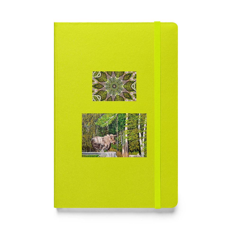 Miniatura: Wary Wanderer Hardcover bound notebook