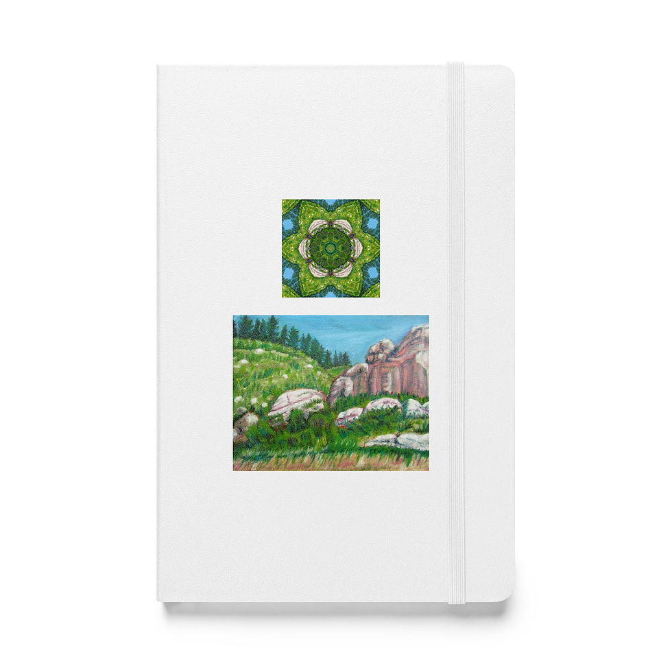 Miniatura: Rogers Canyon Hardcover bound notebook