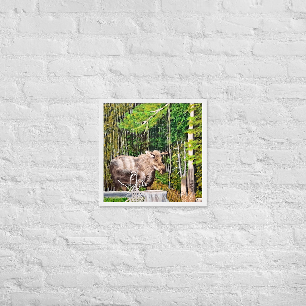 Miniatura: Wary Wanderer Framed poster