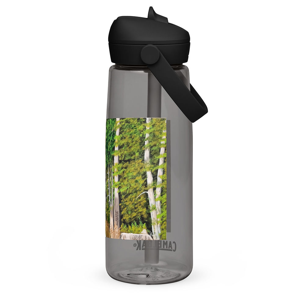 Miniatura: Wary Wanderer Flip straw water bottle