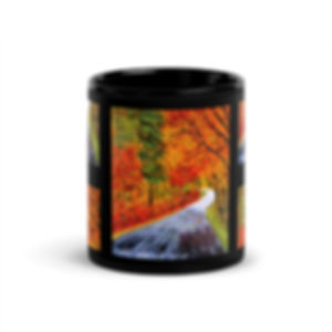The Road Not Taken Black Glossy Mug