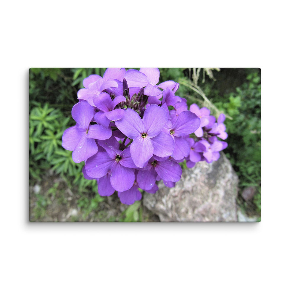 Thumbnail: Wonderful Wildflowers 1 Canvas