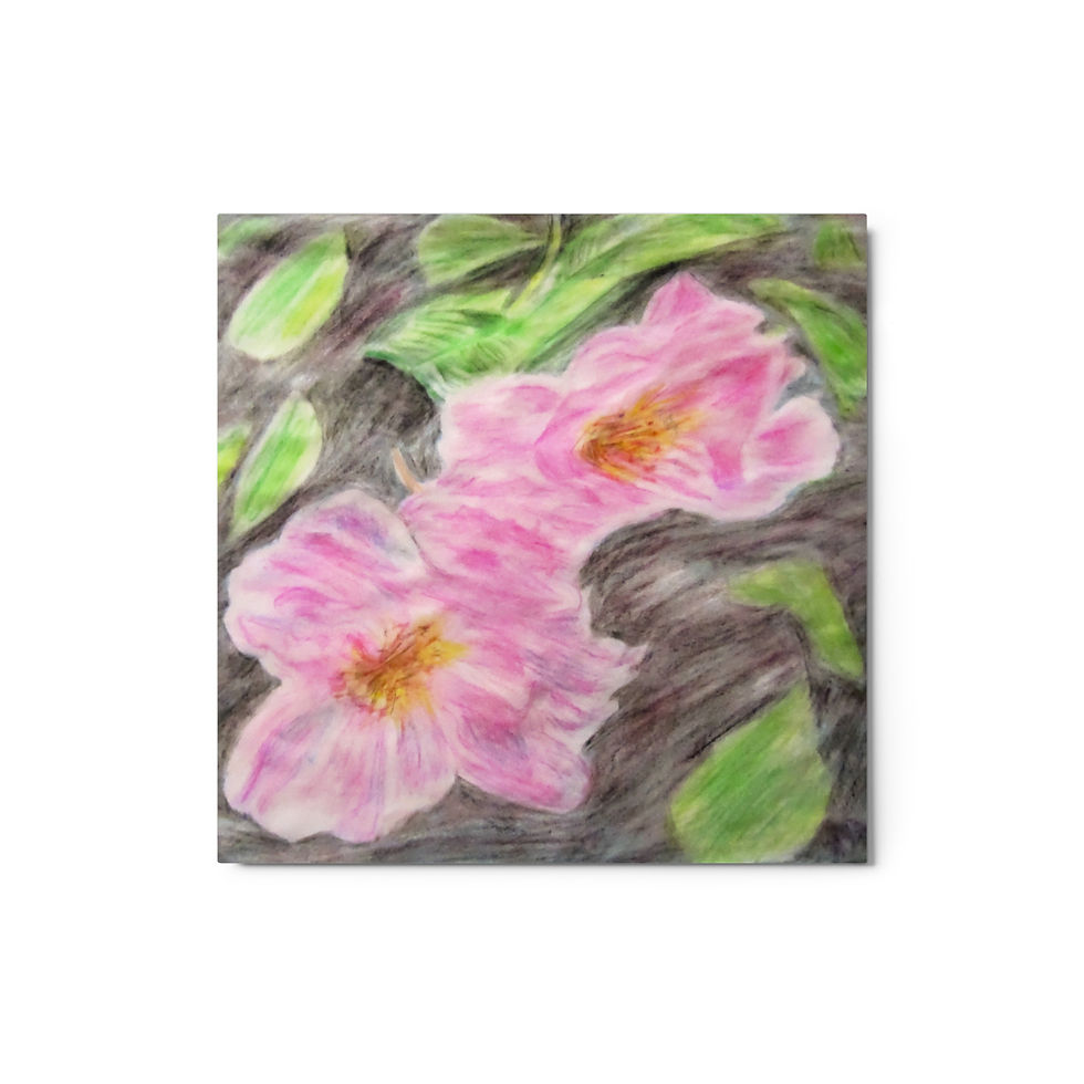 Thumbnail: Wild Prairie Roses Metal prints