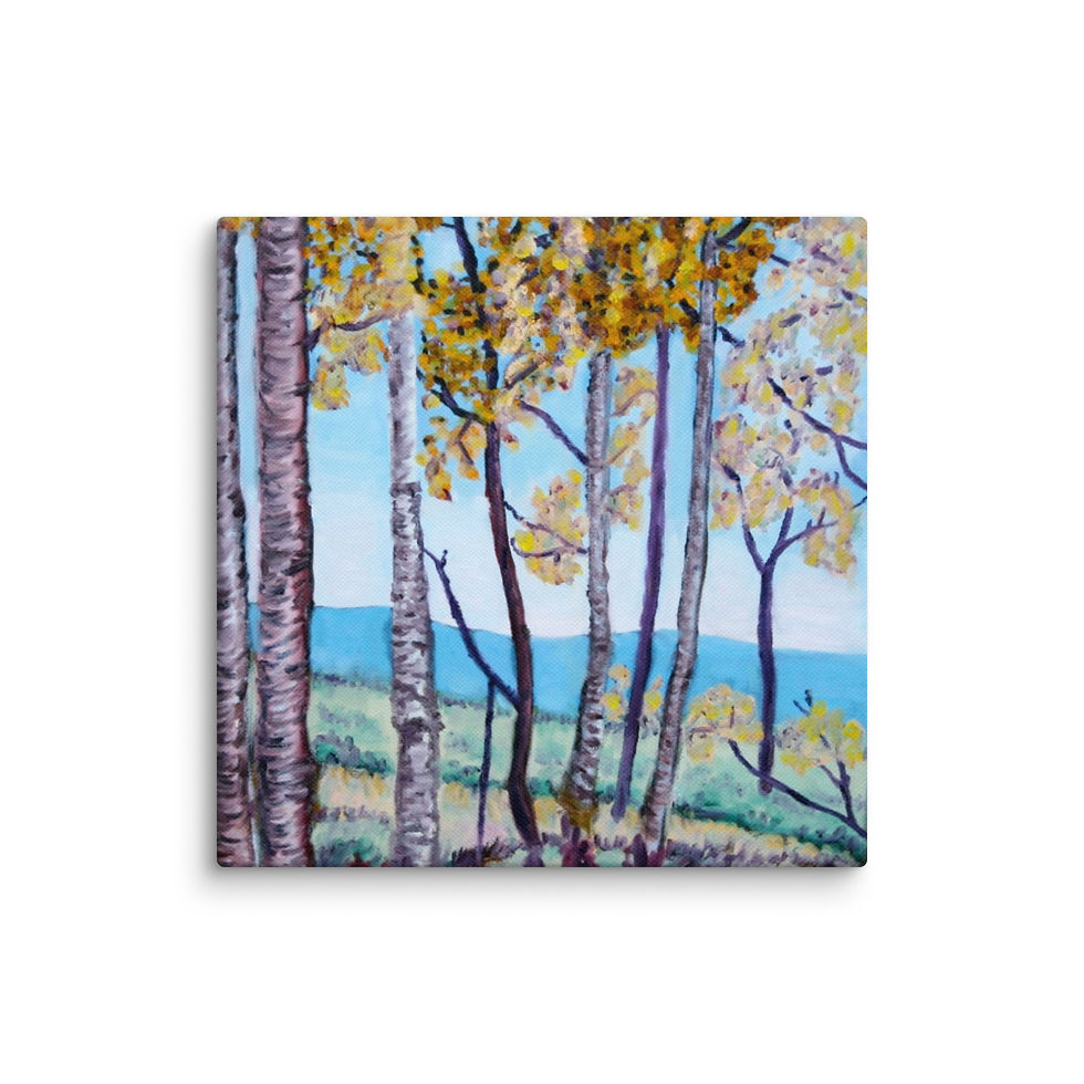 Thumbnail: Sheep Mountain Retreat 1 Canvas