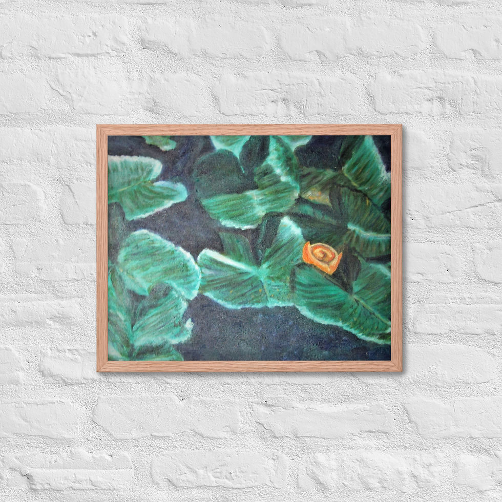 Miniatura: Wyoming Water Lilies Framed poster