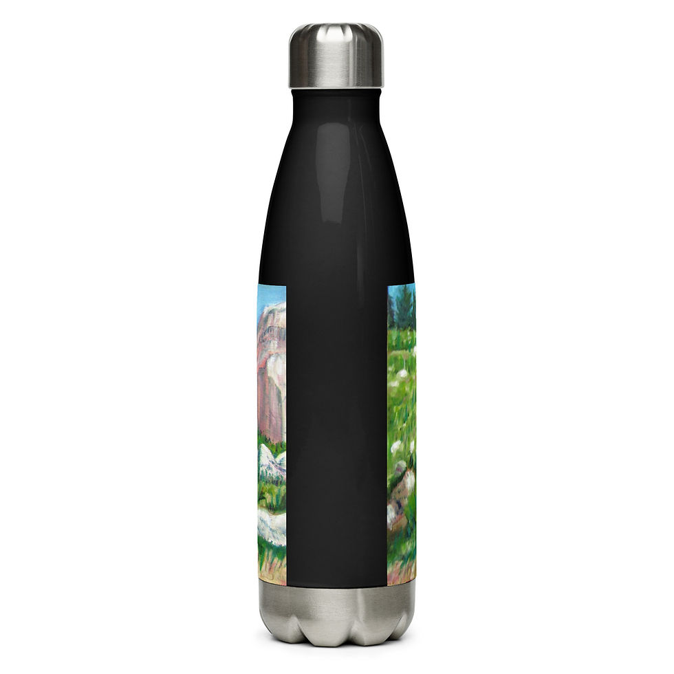 Thumbnail: Rogers Canyon Stainless steel water bottle