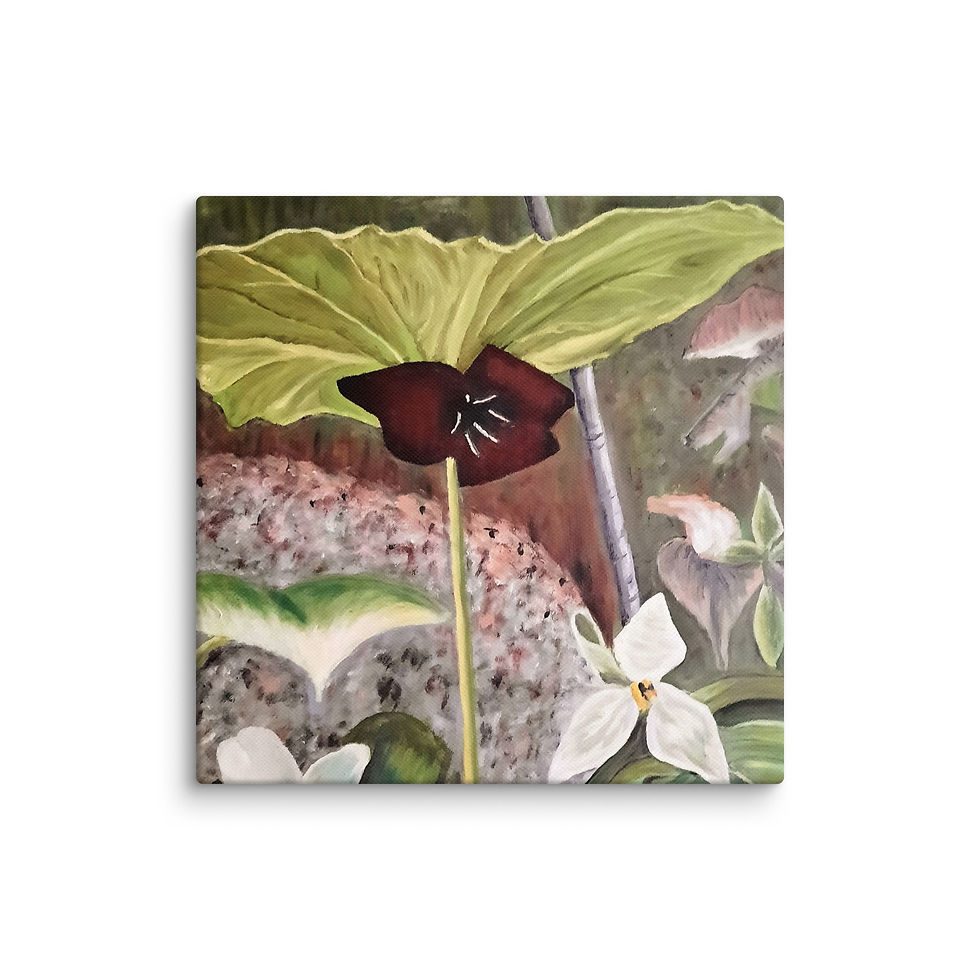 Thumbnail: Trillium Tranquility Canvas