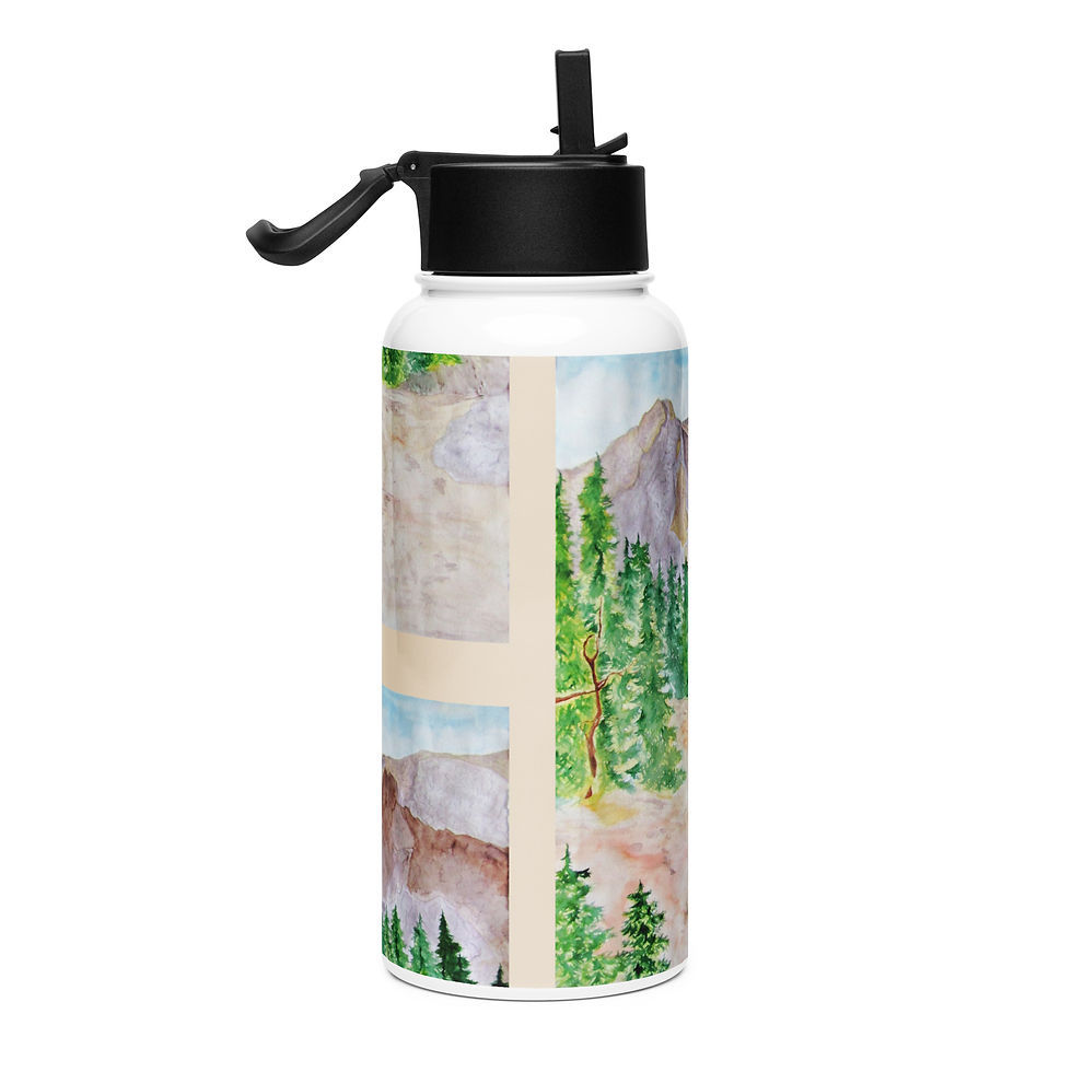 Thumbnail: High Country Stainless steel water bottle with a straw lid
