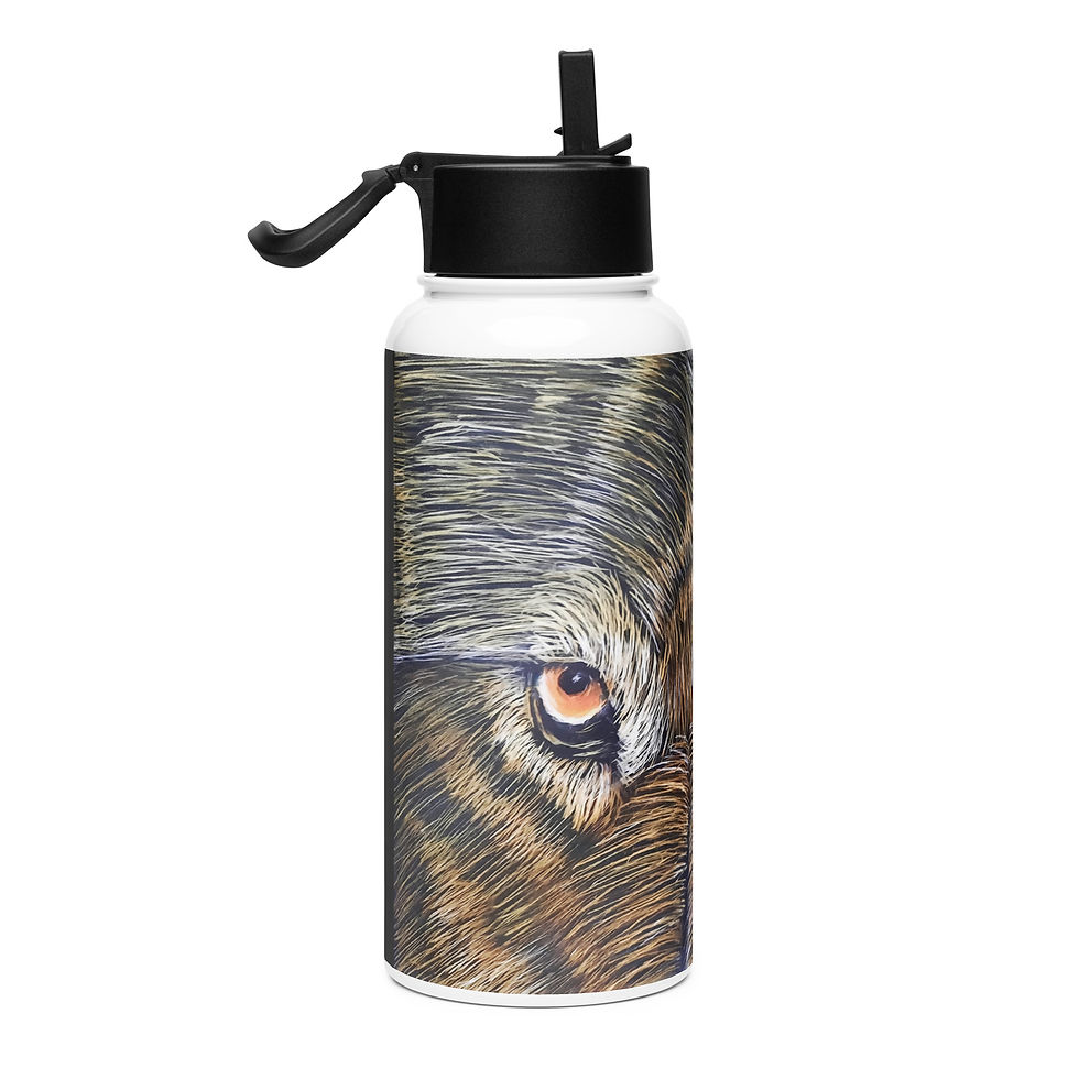 Miniatura: Watchful Eyes Stainless steel water bottle with a straw lid