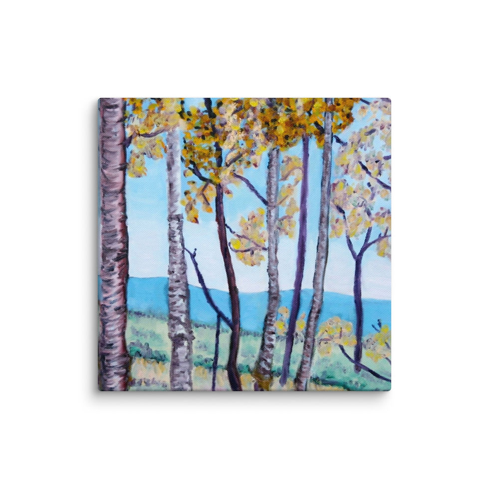 Thumbnail: Sheep Mountain Retreat 1 Canvas