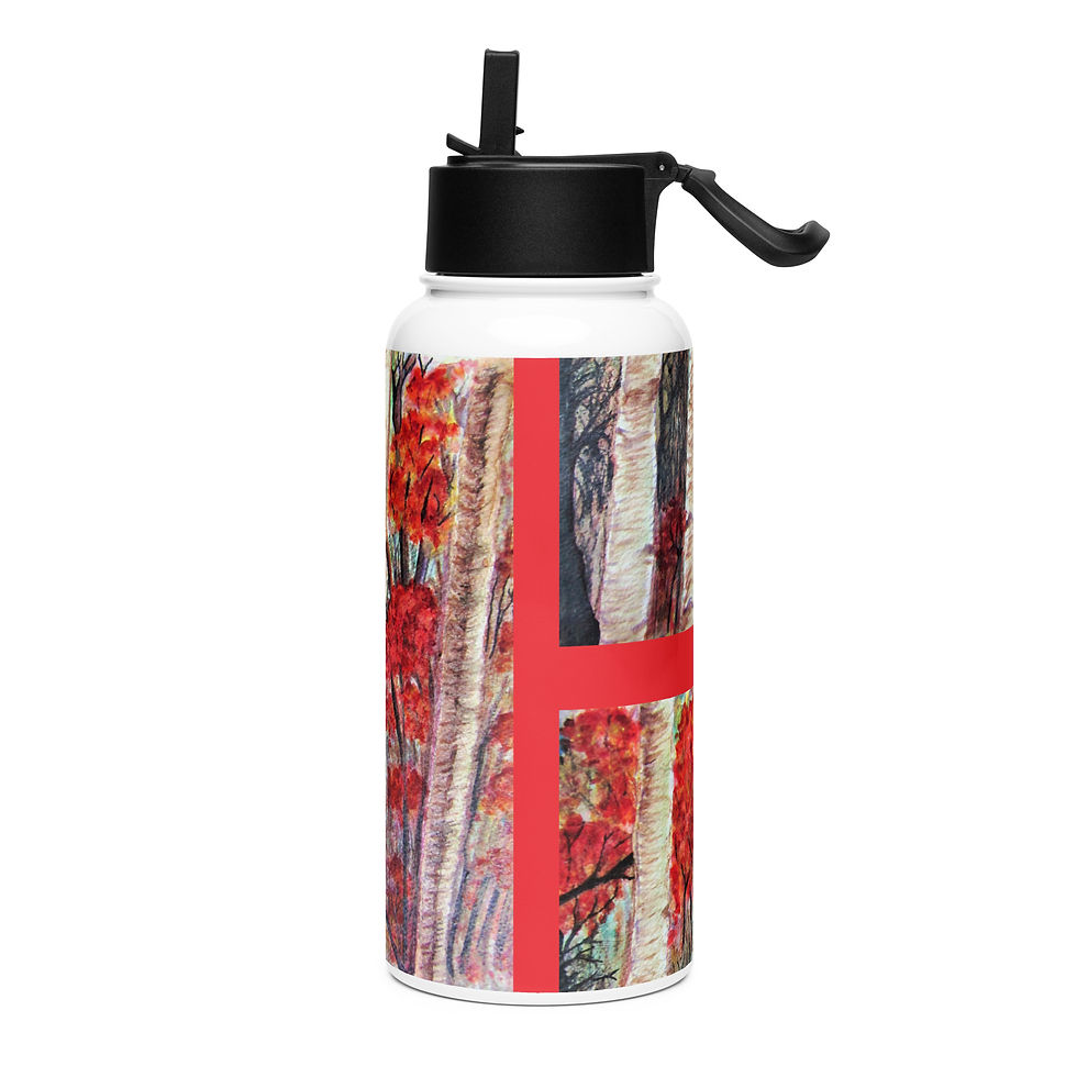Thumbnail: Off the Beaten Path Stainless steel water bottle with a straw lid