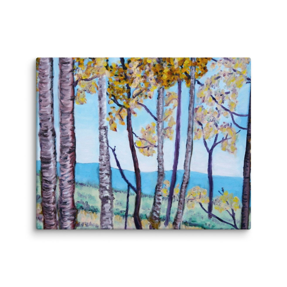 Thumbnail: Sheep Mountain Retreat 1 Canvas
