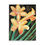 Miniatura: Daylilies of the Field 1 Poster