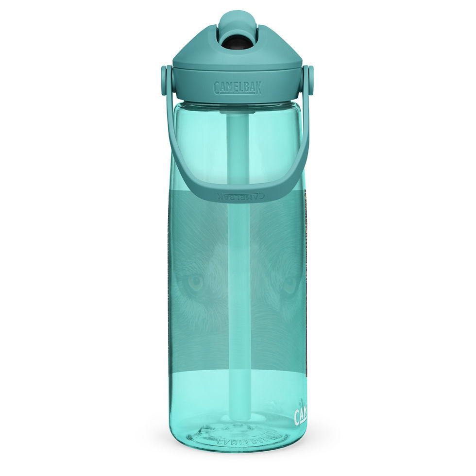 Thumbnail: Watchful Eyes Flip straw water bottle