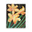 Miniatura: Daylilies of the Field 1 Poster