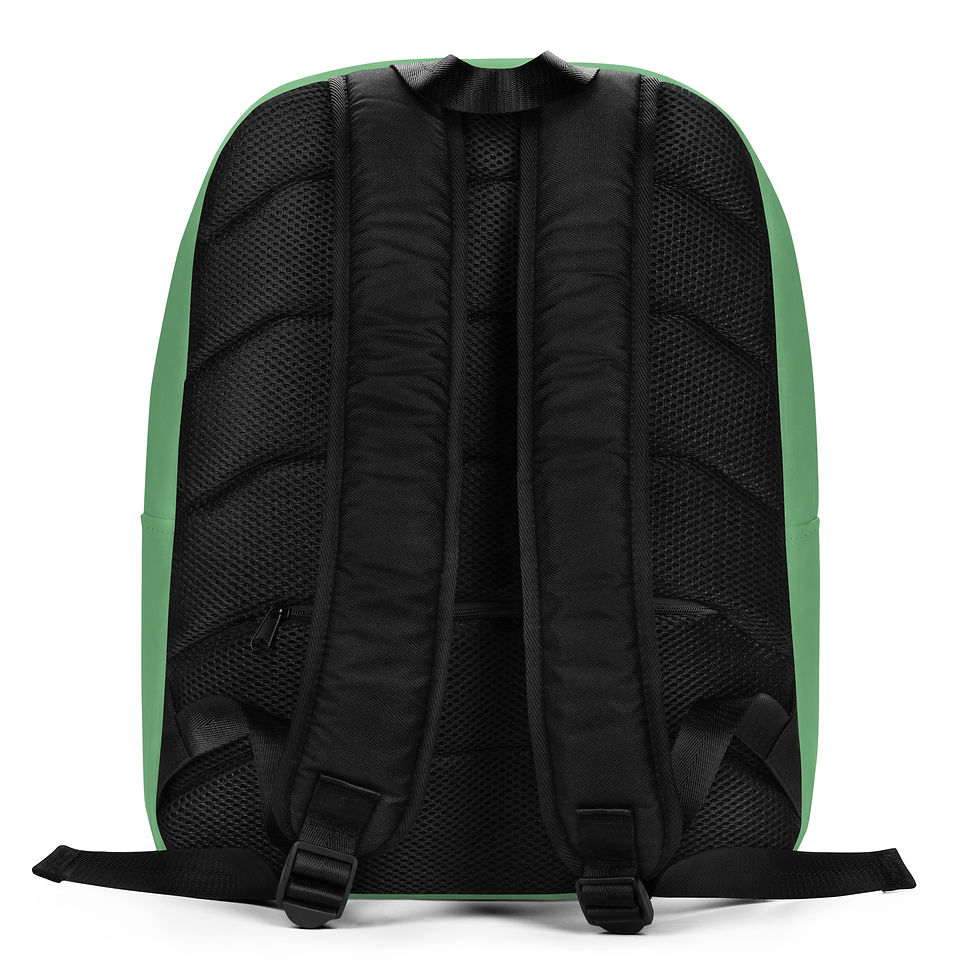 Thumbnail: Jackson Lake Summer Minimalist Backpack