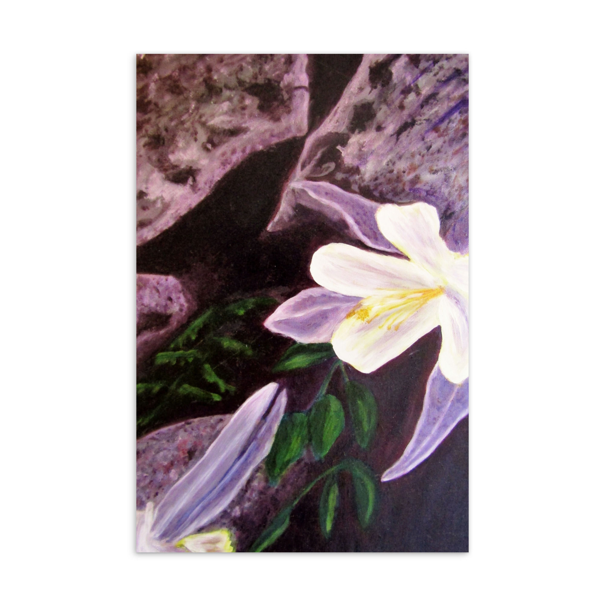 Hidden Crevices 1 Standard Postcard