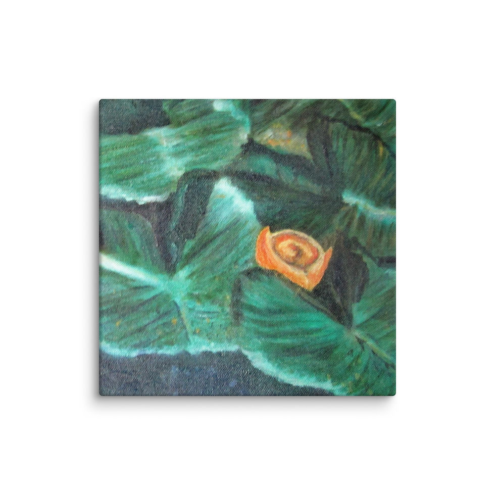 Miniatura: Wyoming Water Lilies Canvas