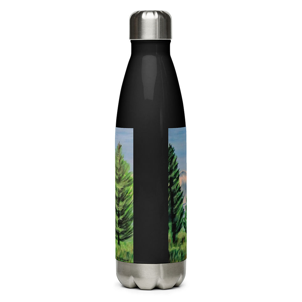 Thumbnail: Jackson Lake Summer Stainless steel water bottle
