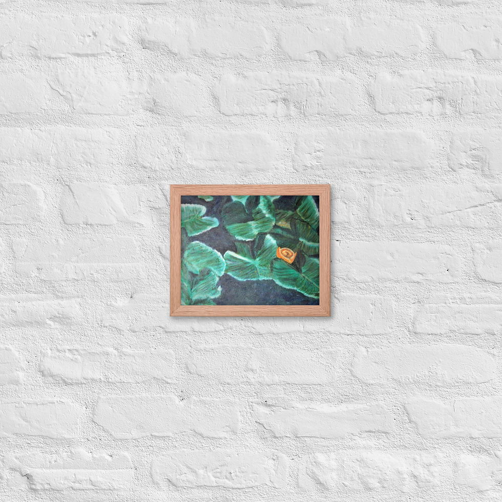 Miniatura: Wyoming Water Lilies Framed poster