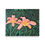 Miniatura: Daylilies of the Field 2 Poster