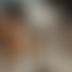 Join Our Fundraisers to Support Animal Advocacy