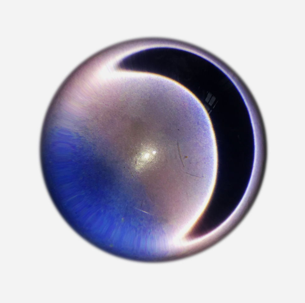 29