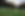 Grass Close Up