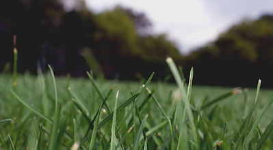 Lawn Mowing Northern Adelaide