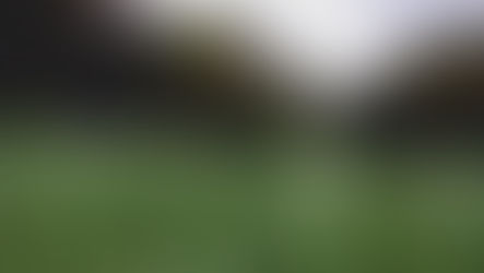 Hill Junior School: Weekly Parent Information