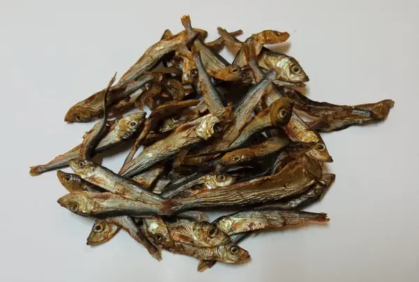 Petinga 8cm (100% peixe) 6 unidades