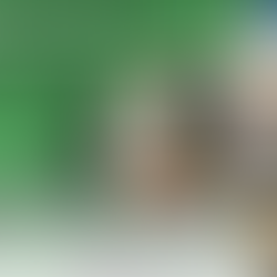 【Case Study】SMANEX Empowers International Airport with Smart Lighting Remote Monitoring Solution